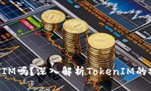 黑客能破解TokenIM吗？深入解析TokenIM的安全性与防护措施