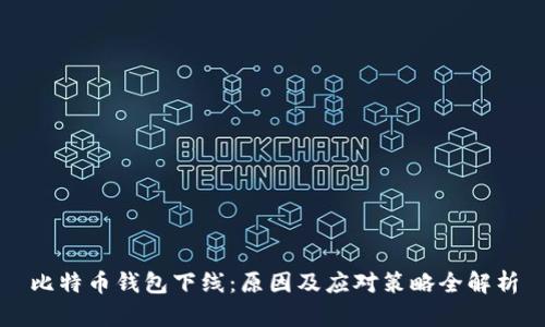 比特币钱包下线：原因及应对策略全解析