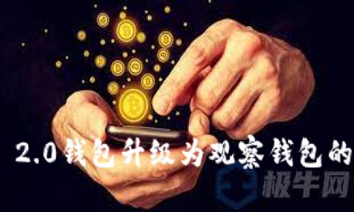 Tokenim 2.0钱包升级为观察钱包的全面解析