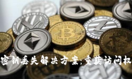 Tokenim 2.0密钥丢失解决方案：重获访问权限的终极指南