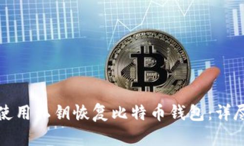 如何使用私钥恢复比特币钱包：详尽指南