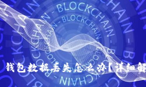 Tokenim 2.0 钱包数据丢失怎么办？详细解决方案与攻略