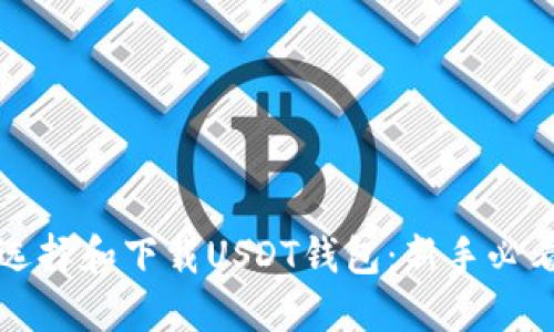 如何选择和下载USDT钱包：新手必看指南