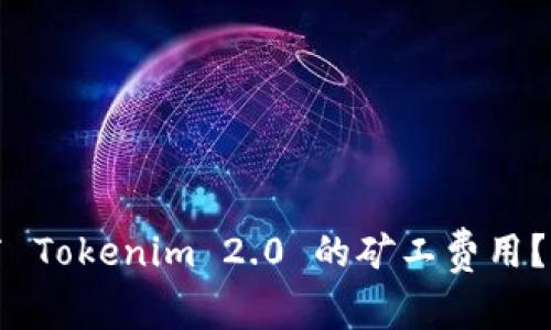 如何调节 Tokenim 2.0 的矿工费用？全面指南