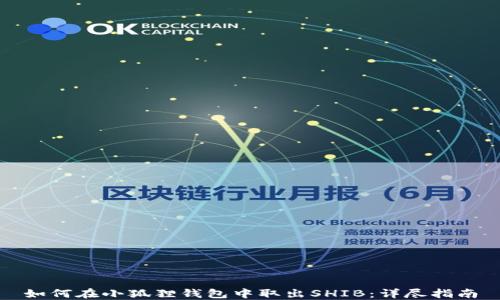 
如何在小狐狸钱包中取出SHIB：详尽指南