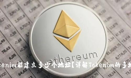一个Tokenim能建立多少个地址？详解Tokenim的多地址功能