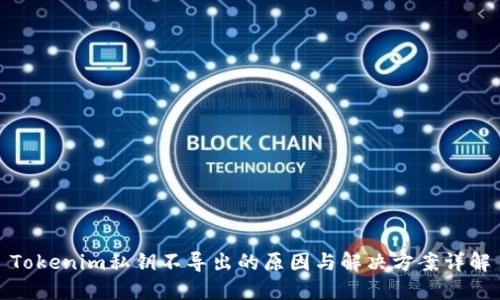Tokenim私钥不导出的原因与解决方案详解