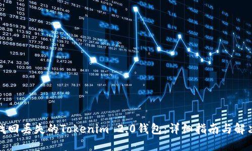 如何找回丢失的Tokenim 2.0钱包：详细指南与解决方案