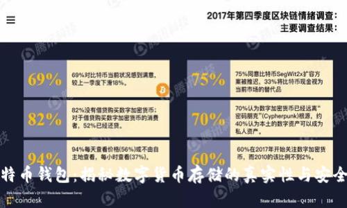 比特币钱包：揭秘数字货币存储的真实性与安全性