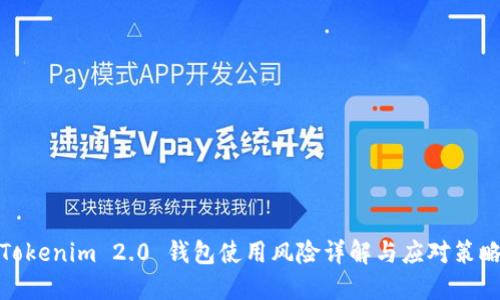 Tokenim 2.0 钱包使用风险详解与应对策略