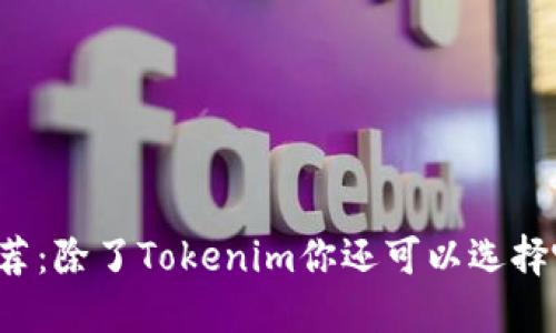 以太坊钱包推荐：除了Tokenim你还可以选择哪些优质钱包？