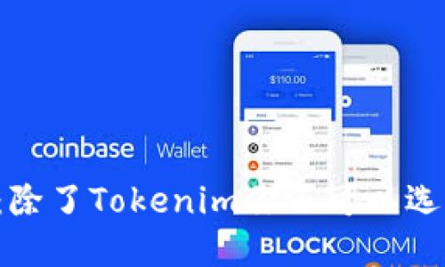 以太坊钱包推荐：除了Tokenim你还可以选择哪些优质钱包？