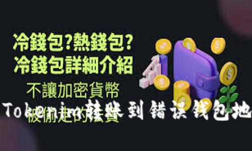 如何解决Tokenim转账到错误钱包地址的问题