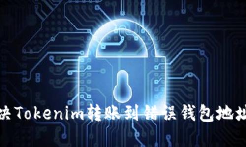 如何解决Tokenim转账到错误钱包地址的问题