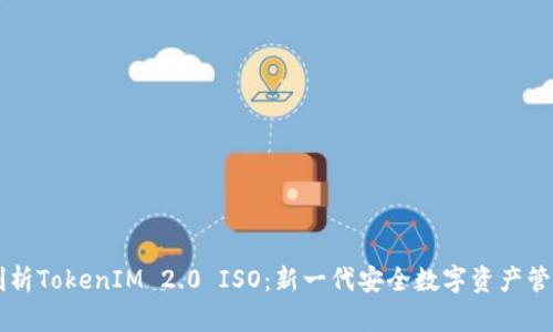 深入剖析TokenIM 2.0 ISO：新一代安全数字资产管理平台