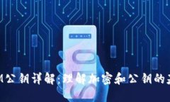 TokenIM公钥详解：理解加密和公钥的基础知识