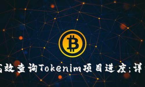 如何高效查询Tokenim项目进度：详细指南