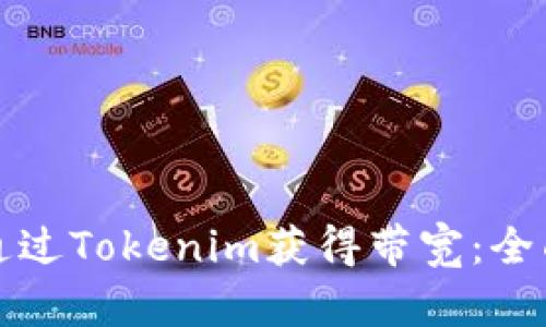 如何通过Tokenim获得带宽：全面指南
