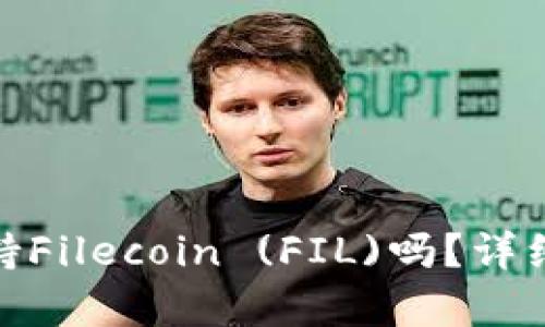 TokenIM 2.0支持Filecoin (FIL)吗？详细解析与应用前景