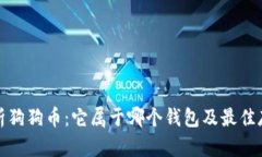 全面解析狗狗币：它属于哪个钱包及最佳存储方