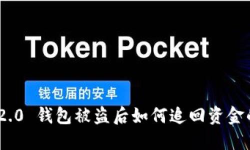 Tokenim 2.0 钱包被盗后如何追回资金的详细指南