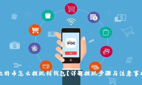 比特币怎么提现到钱包？详解提现步骤与注意事项