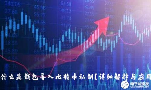 什么是钱包导入比特币私钥？详细解释与应用