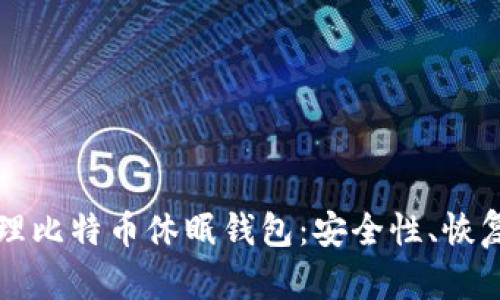 如何有效管理比特币休眠钱包：安全性、恢复与投资潜力