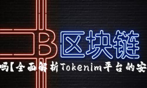 Tokenim能追回吗？全面解析Tokenim平台的安全性与恢复策略