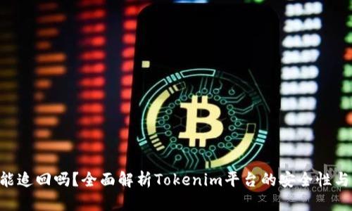 Tokenim能追回吗？全面解析Tokenim平台的安全性与恢复策略