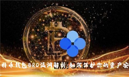 比特币钱包BRD漏洞解析：如何保护你的资产安全