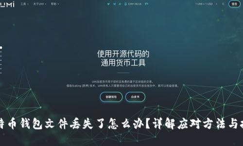 比特币钱包文件丢失了怎么办？详解应对方法与技巧