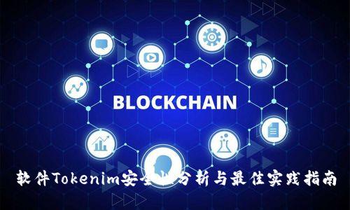 软件Tokenim安全性分析与最佳实践指南