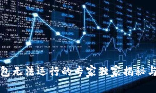 比特币钱包无法运行的专家独家揭秘与解决秘诀