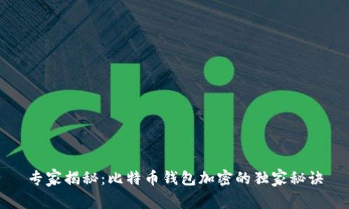 专家揭秘：比特币钱包加密的独家秘诀