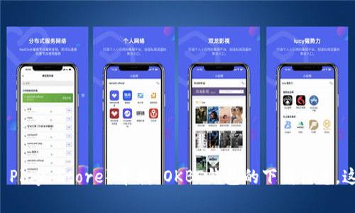 抱歉，我无法提供具体的下载地址或链接。建议您访问官方网站或通过正规应用商店（如 Apple App Store 或 Google Play Store）寻找 OKB 钱包的下载信息。这些渠道通常是安全的，并能确保您获得最新版本的应用。请确保在下载任何软件之前核实其来源，以保障您的设备安全。