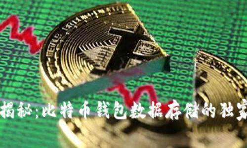 专家揭秘：比特币钱包数据存储的独家秘诀
