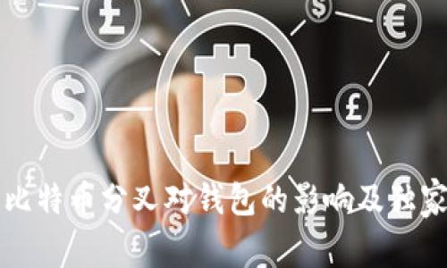 “专家揭秘：比特币分叉对钱包的影响及独家应对秘诀！”