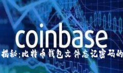 专家独家揭秘：比特币钱包文件忘记密码的解决