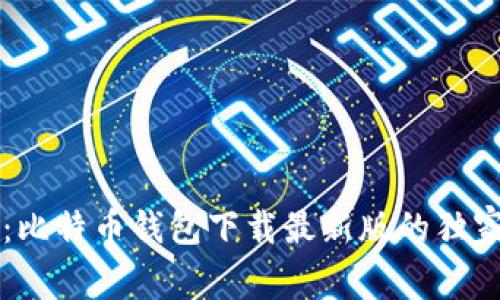 专家揭秘：比特币钱包下载最新版的独家安装秘诀