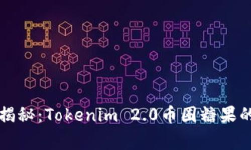专家独家揭秘：Tokenim 2.0币圈糖果的投资秘诀