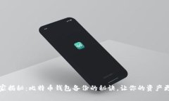 专家独家揭秘：比特币钱包备份的秘诀，让你的