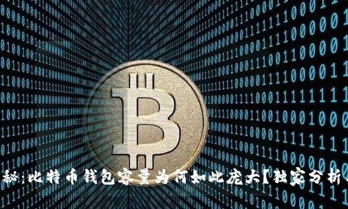 专家揭秘：比特币钱包容量为何如此庞大？独家分析与秘诀！
