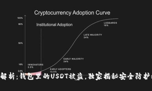 专家解析：钱包里的USDT被盗，独家揭秘安全防护秘诀！