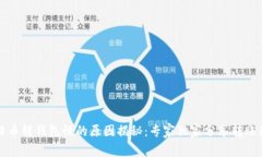 比特币转钱包慢的原因揭秘：专家独家分享转账