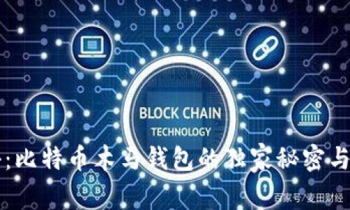 专家揭秘：比特币木马钱包的独家秘密与防范秘诀