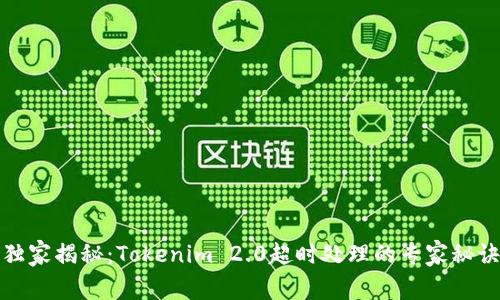 独家揭秘：Tokenim 2.0超时处理的专家秘诀