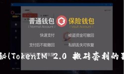 专家揭秘！TokenIM 2.0 搬砖套利的独家秘笈
