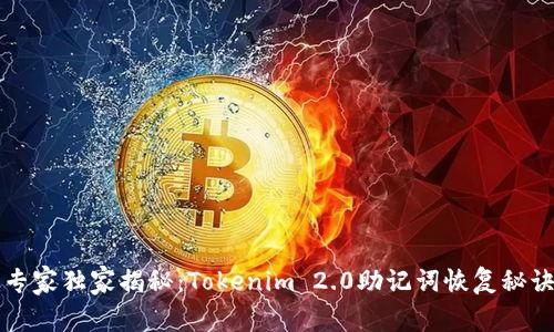 专家独家揭秘：Tokenim 2.0助记词恢复秘诀