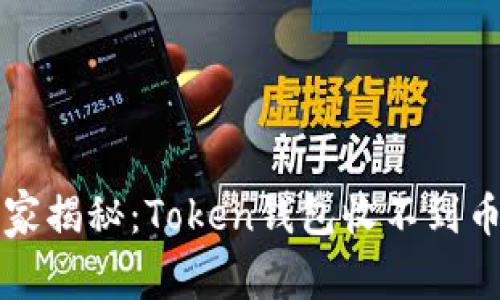 专家独家揭秘：Token钱包收不到币的秘诀